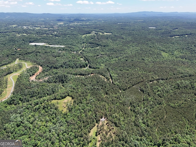 2 Carver Mill Rd, Talking Rock, GA 30175