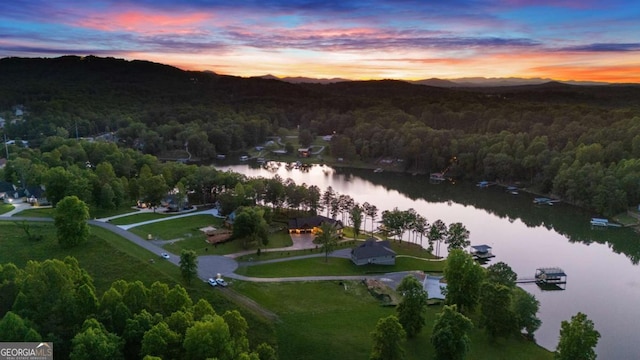 117 Valley View Ct, Blairsville, GA 30512 - aerial view at dusk of a water view and a forest view