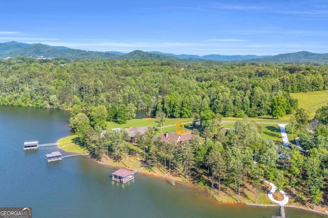 117 Valley View Ct, Blairsville, GA 30512 - drone / aerial view of a heavily wooded area and a water and mountain view