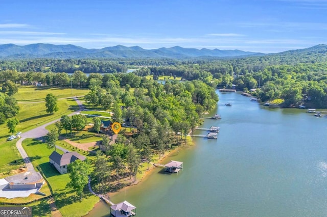 117 Valley View Ct, Blairsville, GA 30512 - aerial view of a water and mountain view and a forest