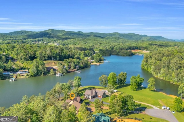 117 Valley View Ct, Blairsville, GA 30512 - drone / aerial view of a water and mountain view and a heavily wooded area