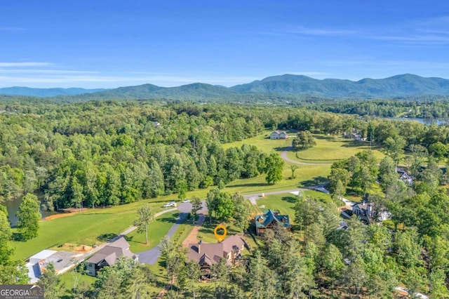 117 Valley View Ct, Blairsville, GA 30512 - aerial overview of property's location with a heavily wooded area and mountains
