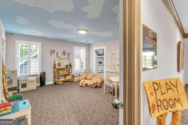 117 Valley View Ct, Blairsville, GA 30512 - rec room with carpet floors and plenty of natural light