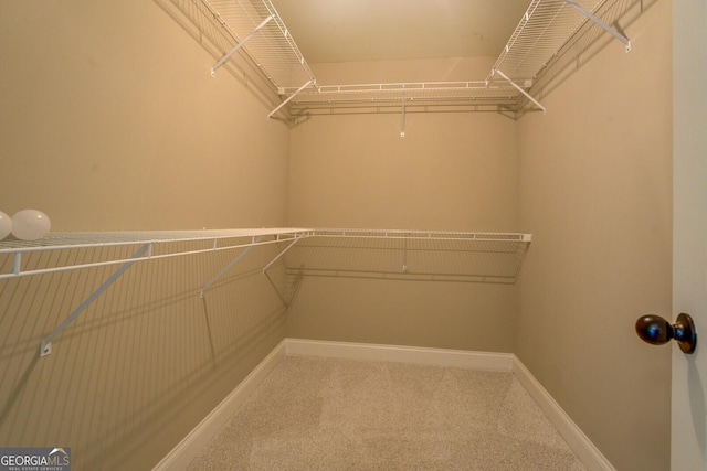 70 Country Meadows Ln, Covington, GA 30014 - walk in closet with carpet flooring