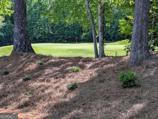 8239 High Lake Ter, Covington, GA 30014 - view of green lawn featuring golf course view