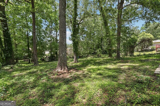 623 Montevista St SW, Atlanta, GA 30310 - view of yard