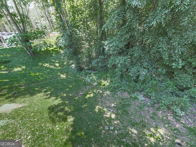301 Jetta Ln, Canton, GA 30115 - view of local wilderness