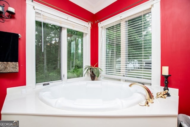 1050 Denton Rd, Douglasville, GA 30134 - full bath with a garden tub and crown molding