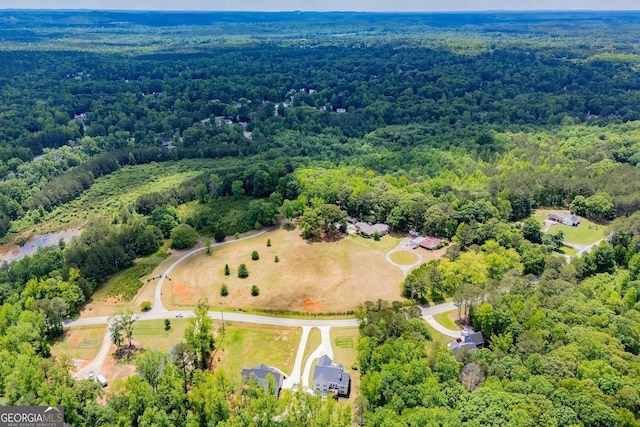 1050 Denton Rd, Douglasville, GA 30134 - view of property location featuring a heavily wooded area