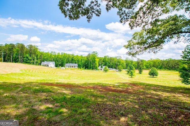 1050 Denton Rd, Douglasville, GA 30134 - view of green lawn featuring a wooded view