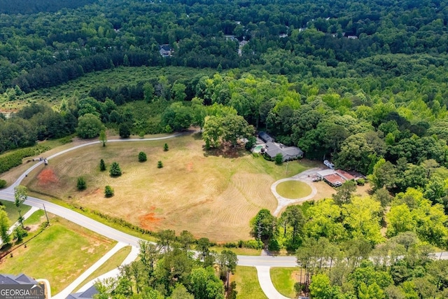 1050 Denton Rd, Douglasville, GA 30134 - drone / aerial view of a forest