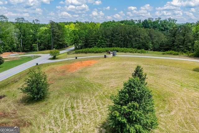 1050 Denton Rd, Douglasville, GA 30134 - drone / aerial view