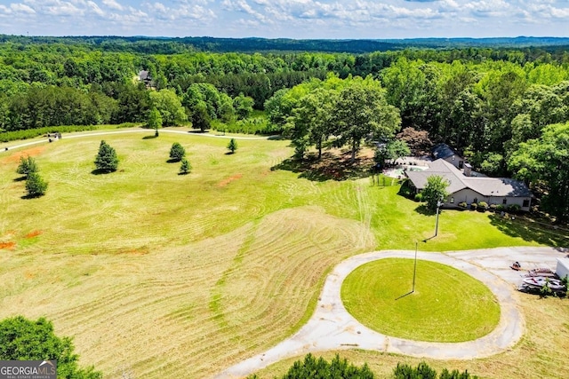 1050 Denton Rd, Douglasville, GA 30134 - bird's eye view of a heavily wooded area