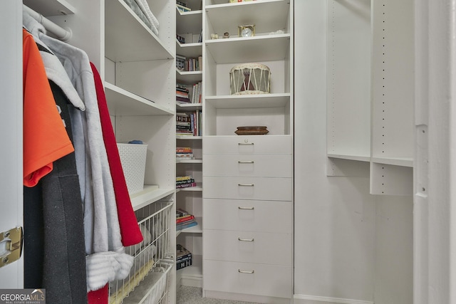 1000 Pleasance Grv, Peachtree City, GA 30269 - view of spacious closet