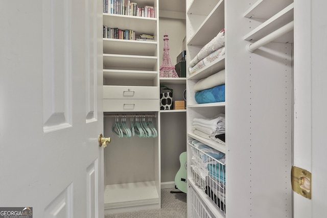 1000 Pleasance Grv, Peachtree City, GA 30269 - view of spacious closet