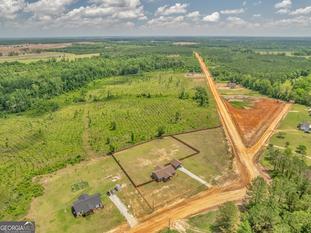 1354 Lakeway Rd, East Dublin, GA 31027 - view of rural area