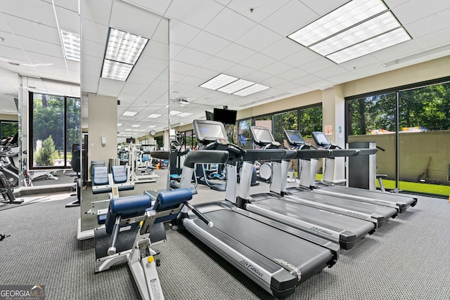 2660 Peachtree Rd Unit 6A, Atlanta, GA 30305 - gym with healthy amount of natural light, a drop ceiling, and carpet