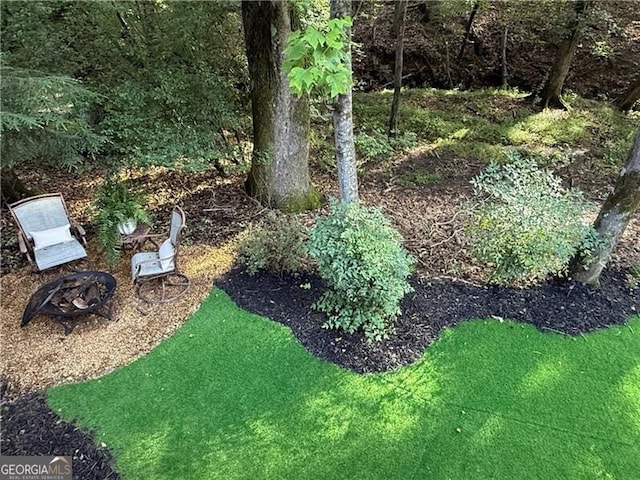 10000 Barston Ct, Johns Creek, GA 30022 - view of yard
