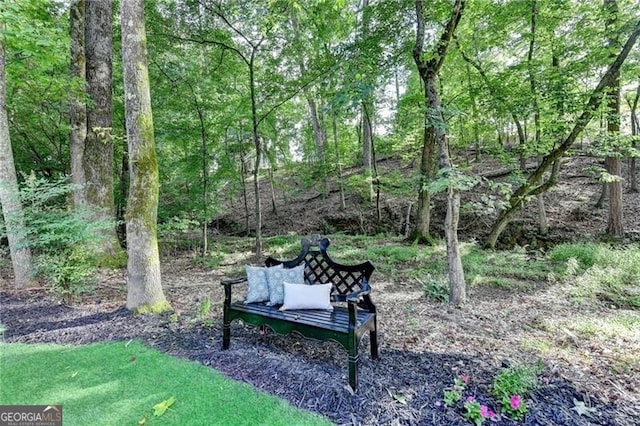 10000 Barston Ct, Johns Creek, GA 30022 - view of home's community