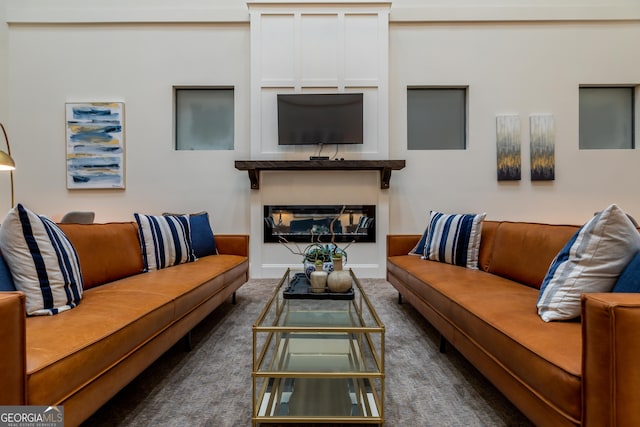 1 E 3rd Ave Unit 302, Rome, GA 30161 - living area featuring carpet floors and a glass covered fireplace