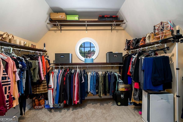 2484 Mossy Branch Dr, Snellville, GA 30078 - spacious closet with carpet and lofted ceiling