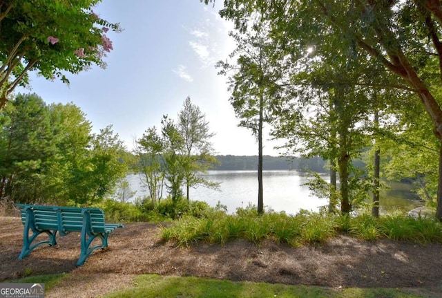 2484 Mossy Branch Dr, Snellville, GA 30078 - water view