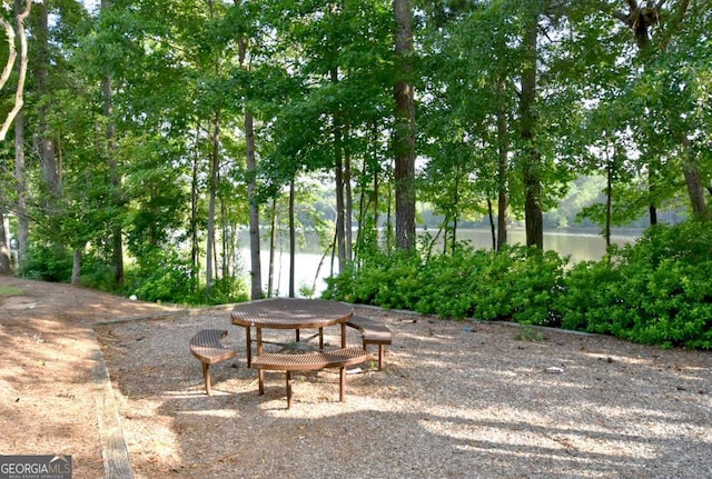 2484 Mossy Branch Dr, Snellville, GA 30078 - view of home's community featuring a water view and view of scattered trees