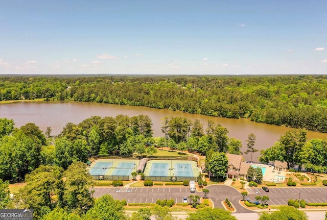 2484 Mossy Branch Dr, Snellville, GA 30078 - bird's eye view of a forest, a nearby body of water, and a pool