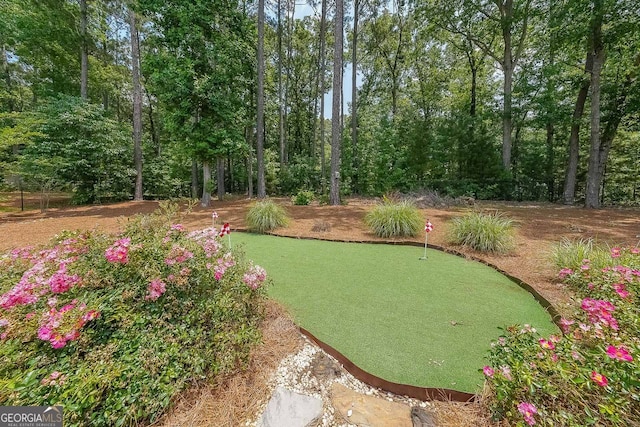 265 Enfield Ln, Mcdonough, GA 30252 - view of yard featuring an area to practice putting