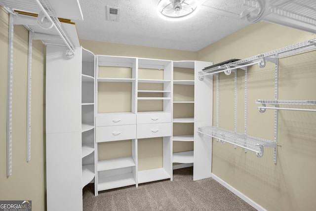 4000 Mcpherson Dr, Acworth, GA 30101 - spacious closet with carpet floors