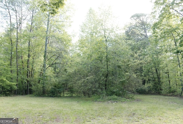 435 Goss Rd, Epworth, GA 30541 - view of grassy yard featuring a view of trees