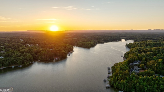 4317 Harold Whelchel Rd, Gainesville, GA 30506 - bird's eye view of a nearby body of water and a heavily wooded area