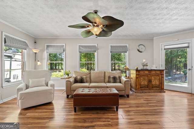 401 Riverwalk, Mcdonough, GA 30252 - living area featuring healthy amount of natural light, wood-type flooring, a textured ceiling, and ornamental molding