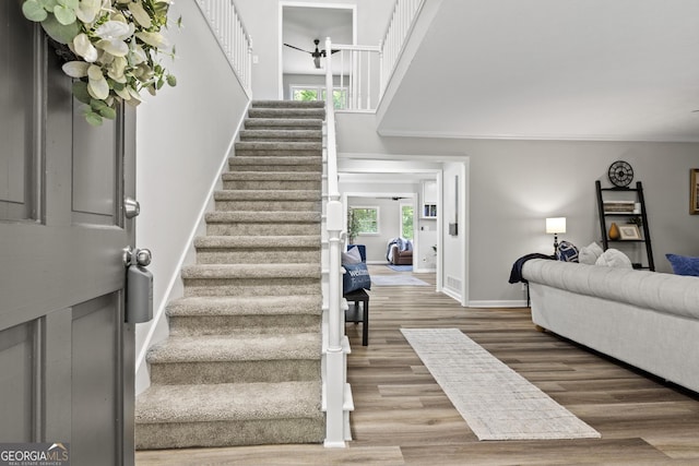 1143 Mcgarity Rd, Mcdonough, GA 30252 - stairway featuring plenty of natural light, baseboards, wood finished floors, and crown molding