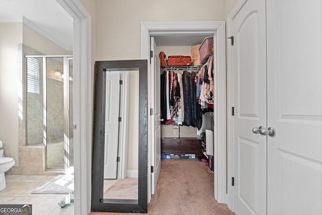 1516 Winward Dr, Locust Grove, GA 30248 - hallway featuring crown molding and carpet