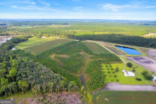 0 Jabbers Ln, Nicholls, GA 31554