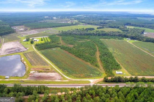 0 Jabbers Ln, Nicholls, GA 31554