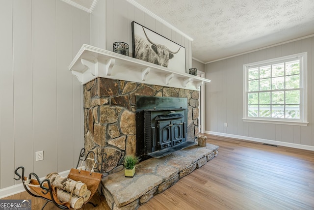 130 April Trce, Dawsonville, GA 30534 - detailed view of wood finished floors, a wood stove, baseboards, ornamental molding, and a decorative wall