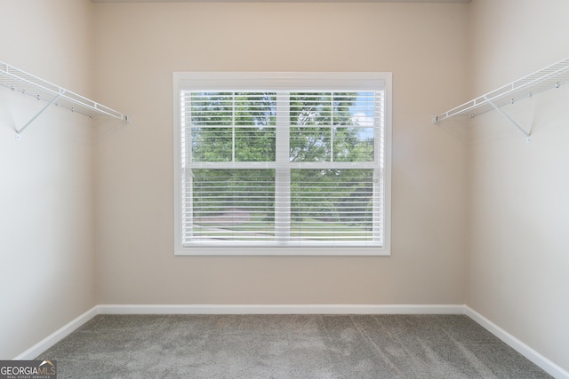 1537 Maplecliff Way, Sugar Hill, GA 30518 - walk in closet with carpet