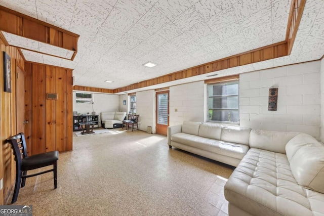 5222 Skyline Dr, Stone Mountain, GA 30083 - living room with wood walls