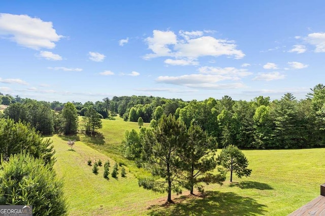 325 Emelia Dr, Morganton, GA 30560 - view of green lawn