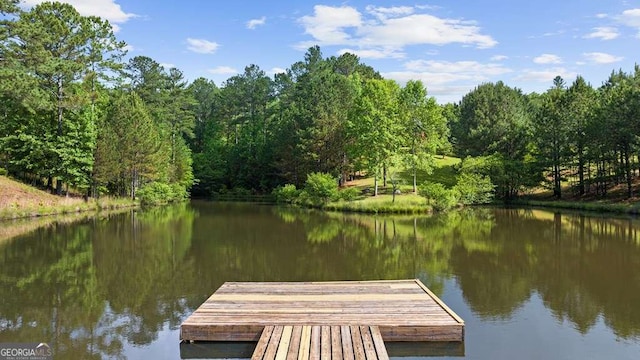 325 Emelia Dr, Morganton, GA 30560 - dock featuring a water view and a forest view