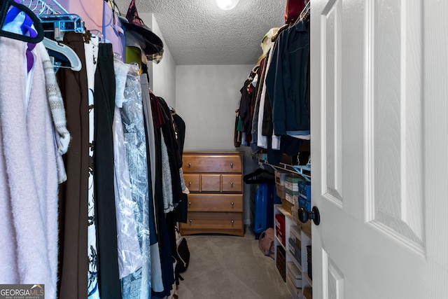 264 Baldwin Ct, Newnan, GA 30263 - spacious closet featuring carpet
