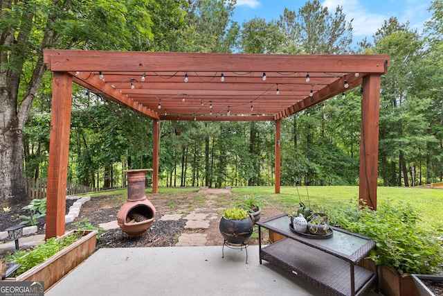 264 Baldwin Ct, Newnan, GA 30263 - view of patio with a pergola