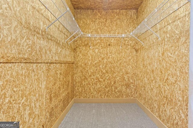 532 Coffee Cove Dr, Jasper, GA 30143 - walk in closet featuring carpet flooring