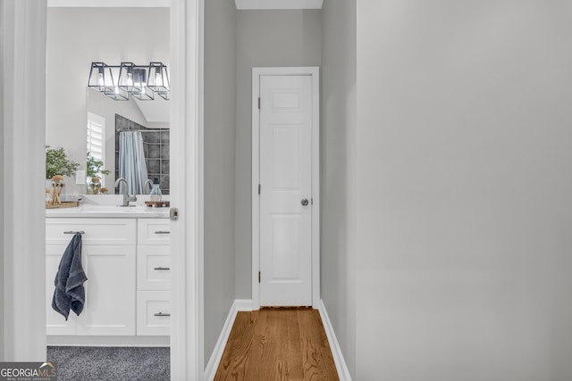1035 Mcfarlin Bridge Rd, Carnesville, GA 30521 - hall with wood finished floors and a sink