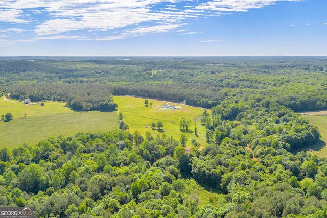 1035 Mcfarlin Bridge Rd, Carnesville, GA 30521 - aerial view of a forest