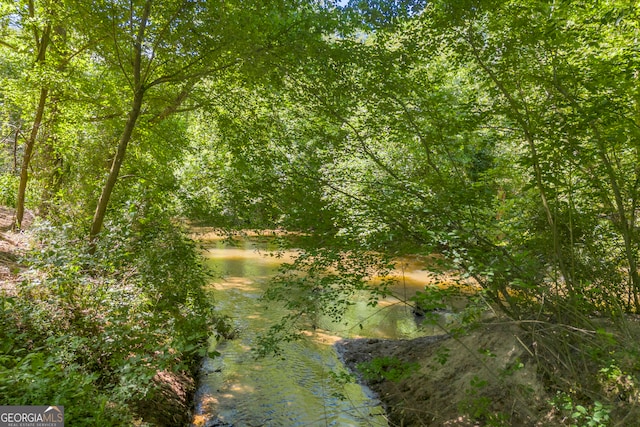 1035 Mcfarlin Bridge Rd, Carnesville, GA 30521 - view of nature
