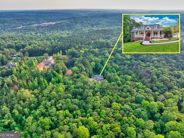 2230 Ewing Chapel Rd, Dacula, GA 30019 - view of property location featuring property parcel outlined and a forest