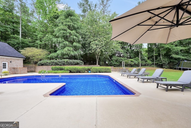 704 Branchview Ct, Mcdonough, GA 30252 - outdoor pool with a trampoline, a patio, and view of scattered trees